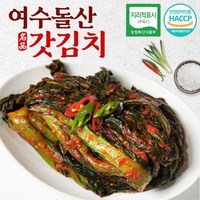 영농조합법인 여수 돌산 갓김치 2kg 3kg 당일생산제조 국내산100%, 1개