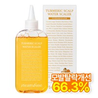 [공식] 스팀베이스 강황 쿨링 두피 워터 스케일러 모발탈락수개선, 1개, 250ml