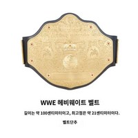 WWE챔피언벨트 헤비급 프로레슬링 타이틀 벨트 장식, 헤비급 벨트