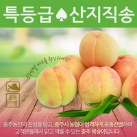 기타 2024 특등급하늘작 충주 복숭아 5kg(2.5kg2상자) 제철 황도 [산지직송], 1