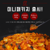 제일닭갈비 1인분 1.5인분 미니패키지 강원도 원주 20년 맛집 캠핑 홈파티 밀키트 간단 요리 [원산지:상세설명에 표시], 1세트, 850g