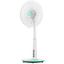 에이핀 스탠드형 선풍기 AF-1401SF, 그린
