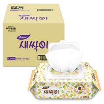 잘풀리는집 새싹이 물티슈 캡형, 100매, 24팩