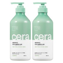 더마앤모어 세라마이드 샴푸, 600ml, 2개