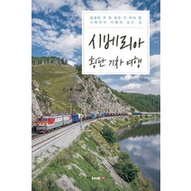시베리아 횡단 기차 여행:평생에 꼭 한 번은 가 봐야 할 시베리아 여행의 모든 것, 북랩, 태원용 저