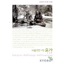 초월을 향한 지향 요가, 살림, 류경희 저
