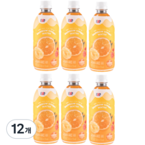 배스킨라빈스 과즙워터 레인보우 샤베트, 500ml, 12개