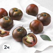 농협 강원 맑은청 흑토마토, 500g, 2팩