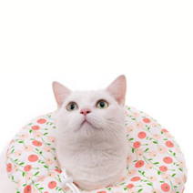 딩동펫 반려동물 동글이 넥카라 체리 S, 1개