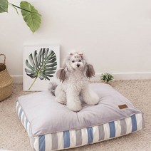 로하스펫 반려동물 극세사 잠잠 사각방석, 그레이