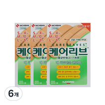 니치방 케어리브 밴드, 6개