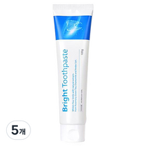 브라이트 프리미엄 미백 치약, 100g, 5개