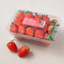 인기 많은 딸기 추천순위 TOP100 상품을 소개합니다