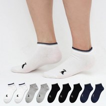이지레그 남성용 멍멍이 단목 양말 10켤레