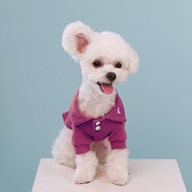 쁘띠도그 아토카라 티셔츠, 버건디