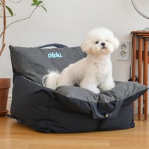 올치 방수 캐리어 카시트(OASA-AU5981)베이지M 강아지 침대, 단품