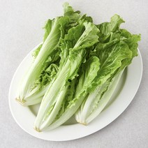 친환경 포기생채, 250g, 1개