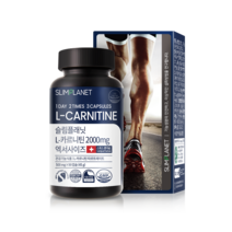 슬림플래닛 엘카르니틴 2000mg 엑서사이즈, 1개, 45g
