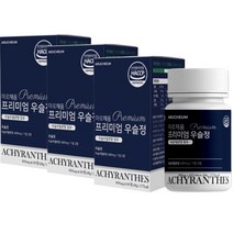 아르채움 프리미엄 우슬정 48g, 3개