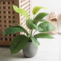 RYMD 조화 보테니컬 미니 화분 폴리에이지, 혼합 색상, 1개