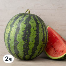 한반도 당도선별 수박, 7kg 미만, 2개