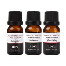 아로하트리즈 에센셜오일 유칼립 투스 + 시더우드 + 일랑일랑, 10ml, 1세트