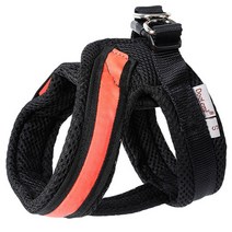 펫츠랜드 LED 세이프티 하네스 오렌지, 1개