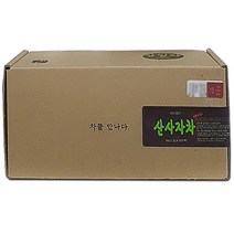 아이앤티 산사자차, 1g, 50개입, 1개