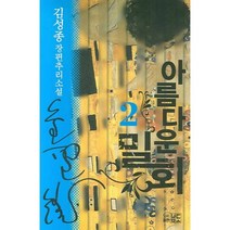 아름다운 밀회 2(반양장), 남도, 김성종 저