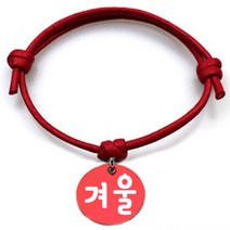 펫츠룩 굿모닝 레드 반려동물 목걸이 M + 알미늄원형 팬던트 M, 레드(겨울), 1개