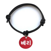 펫츠룩 굿모닝 블랙 반려동물 목걸이 M + 알미늄원형 팬던트 M, 레드(베리), 1개