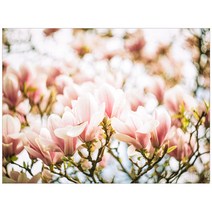 써머스트 키친 아트보드 마커스플라워트리, 1개