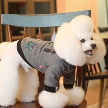미니피니 강아지 그레이 두툼한 점퍼, 혼합 색상