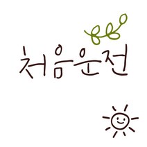 1AM 자동차스티커 V3 2C심플 처음운전 풀잎 + 주유구스티커 해, 진갈 + 올리브, 1개