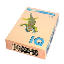 몬디 IQ COLOR 색상지 SA24 살몬 80g, A4, 500매