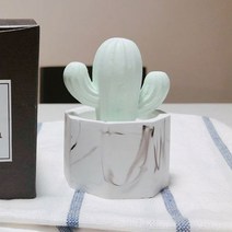 미쁘다 육각마블선인장 석고방향제 그린, 스윗피