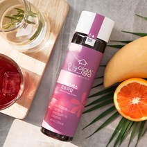 오늘의일상 히비스커스 트로피칼 농축 베이스, 440ml, 1개