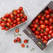 망토맛토 최저가로 저렴한 상품의 가격비교와 리뷰 분석