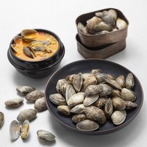 우리바다좋은산지 남해안 바다 바지락, 800g, 1봉