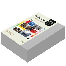 종이문화 프린트 프로 칼라 복사용지 No 31 그레이 80g, B5, 680개