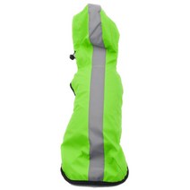 모나 강아지 레인코트, 그린