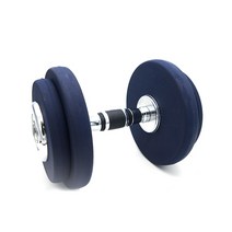파워헬스 우레탄 아령 네이비, 12kg, 1개