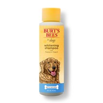 버츠비 화이트닝 강아지 샴푸, 473ml, 1개