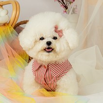 스트라이프 반려동물 하네스 티셔츠, 레드