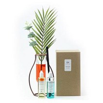 이앤 황동장식 다용도 인테리어 디퓨저 화병 심플 넘버3 200ml, 오렌지자몽
