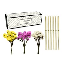 코코도르 내추럴 디퓨저 우드 리드스틱 30p + 스타티스 3종 + 유리관 + 종이박스 세트, 스타티스(핑크, 옐로우, 화이트), 1세트