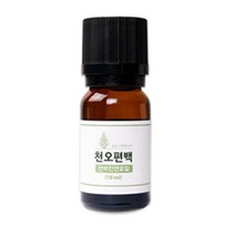 천오 편백나무 피톤치드 원액 오일 본품, 10ml, 1개