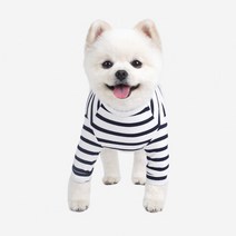 패리스독 강아지 스트라입 티셔츠, 네이비