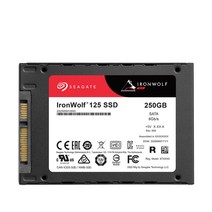 씨게이트 Ironwolf 125 SSD NAS, ZA250NM10002, 250GB