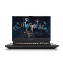 한성컴퓨터 2020 BossMonster 17.3, 블랙, 코어i9 10세대, 1024GB, 32GB, Free DOS, EX7089S